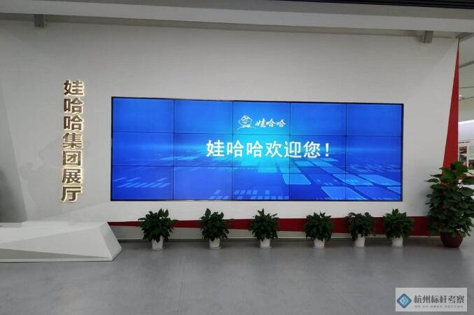 娃哈哈參觀考察